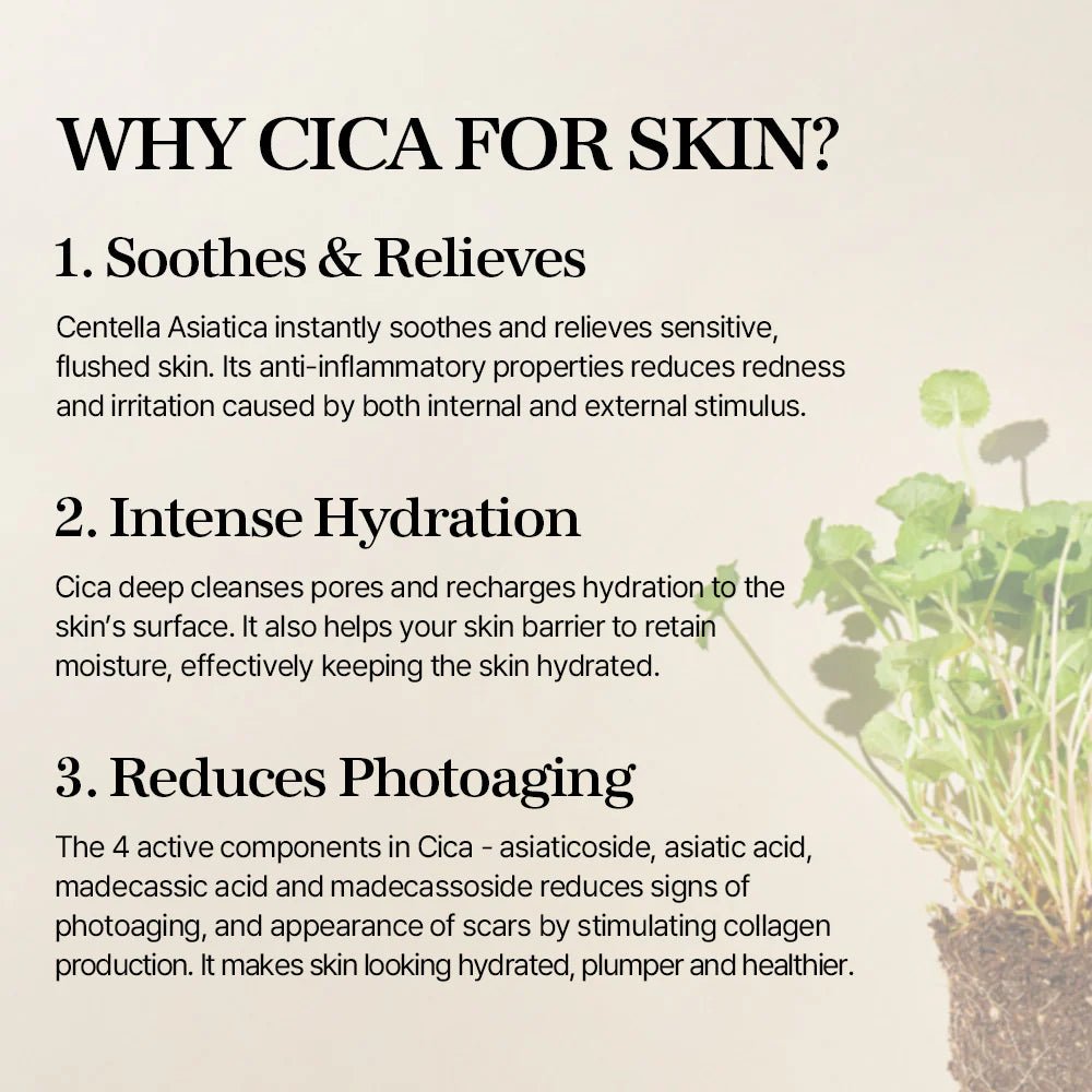 Why Cica for Skin? Chart showing soothing, hydration, and photoaging benefits of Centella Asiatica.