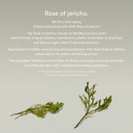 Buy Abib Jericho Rose Bifida Serum Firming Drop Online in Saudi Arabia - YASHIE SA