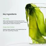Key ingredients graphic featuring fresh green Sea Kelp in a glass of water.