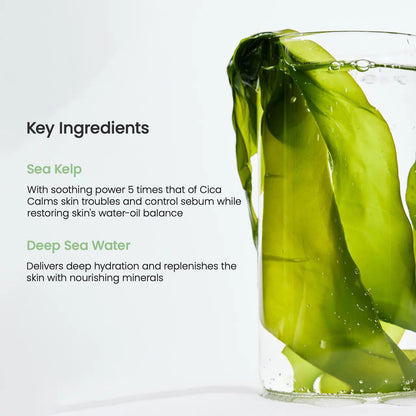 Key ingredients graphic featuring fresh green Sea Kelp in a glass of water.