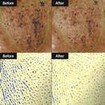 Before and after comparison of a textured surface with blue specks.