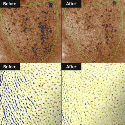 Buy Celimax Pore+Dark Spot Brightening Cream 35ml Online in Saudi Arabia - YASHIE SA