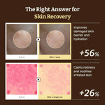 Before-and-after effects of Dr. Reju-All PDRN Cream on skin texture and redness.