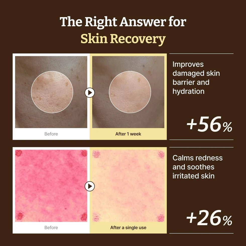 Buy Dr. Reju - All Advanced PDRN Rejuvenating Cream 20ml Online in Saudi Arabia - YASHIE SA