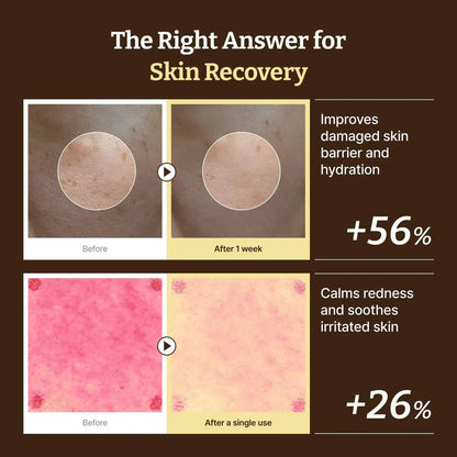 Buy Dr. Reju - All Advanced PDRN Rejuvenating Cream 20ml Online in Saudi Arabia - YASHIE SA