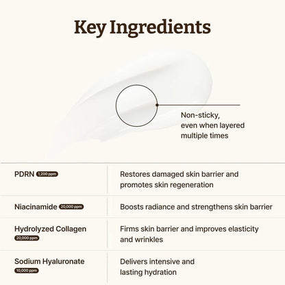 Buy Dr. Reju - All Advanced PDRN Rejuvenating Cream 20ml Online in Saudi Arabia - YASHIE SA