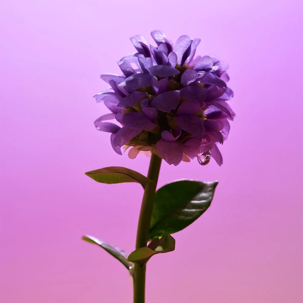 Buy EQQUALBERRY Bakuchiol Plumping Serum Online in Saudi Arabia - YASHIE SA