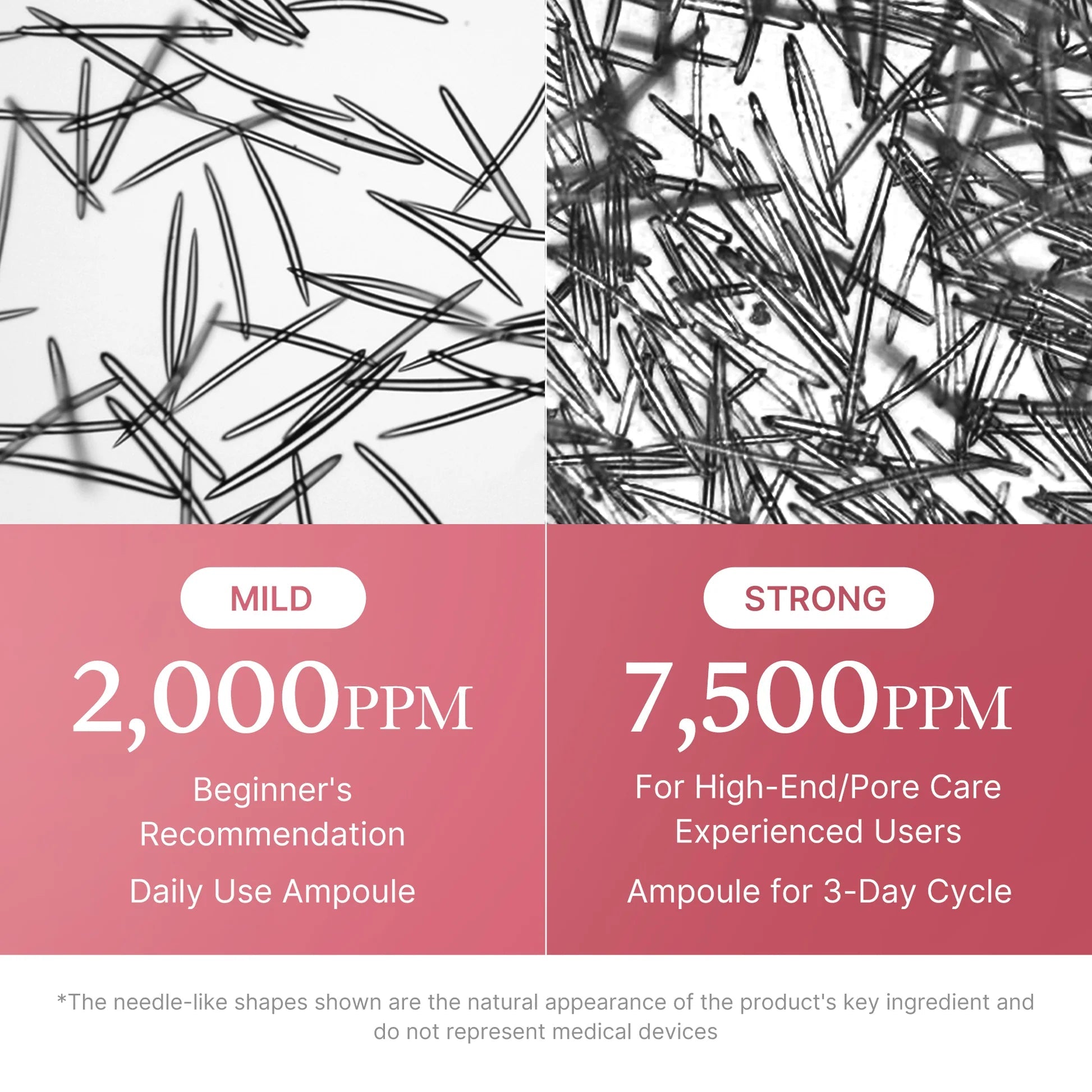 Microscopic view comparing the 2,000 PPM mild daily dose and 7,500 PPM strong 3-day cycle dose.