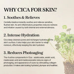 Why Cica for Skin? Chart showing soothing, hydration, and photoaging benefits of Centella Asiatica.