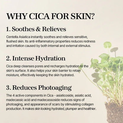 Why Cica for Skin? Chart showing soothing, hydration, and photoaging benefits of Centella Asiatica.