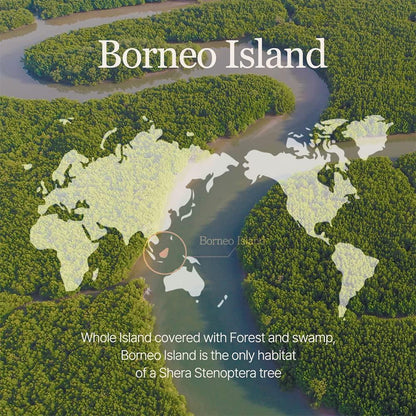 Buy Mixsoon Vegan Melting Lip Balm (Dry Rose) 4.1g Online in Saudi Arabia - YASHIE SA