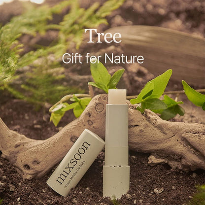 Buy Mixsoon Vegan Melting Lip Balm (Dry Rose) 4.1g Online in Saudi Arabia - YASHIE SA