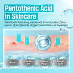 Diagram showing how Pantothenic Acid controls excess oil and prevents clogged pores.