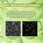 Advertisement for MLE Multi-lamellar Emulsion with text and images of skin barrier structures.