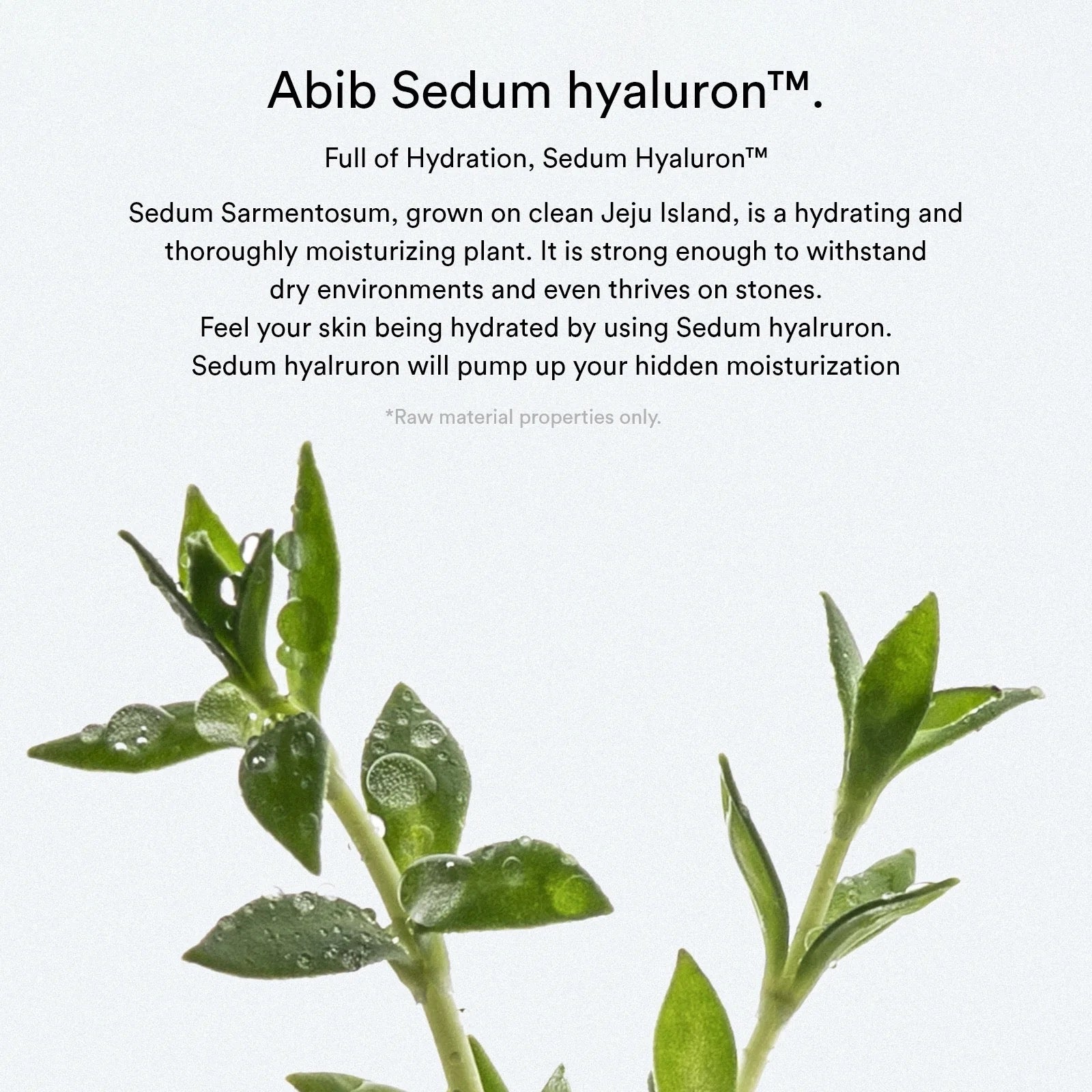 Buy Abib Sedum hyaluron pad Hydrating touch - 165ml. 75 pads Online in Saudi Arabia - YASHIE SA