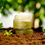 Buy I'm From Mugwort Cream 50g Online in Saudi Arabia - YASHIE SA
