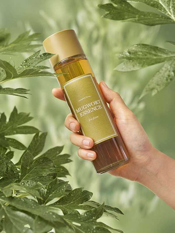 Buy I'm From Mugwort Essence 160ml Online in Saudi Arabia - YASHIE SA